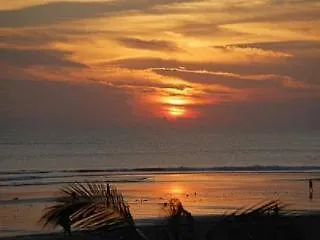The Vie Villa Legian